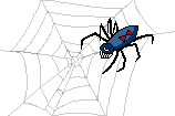 aspider.gif (5912 bytes)